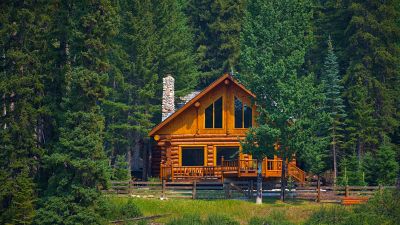 Log Home Staining