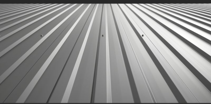 Metal Roof Painting