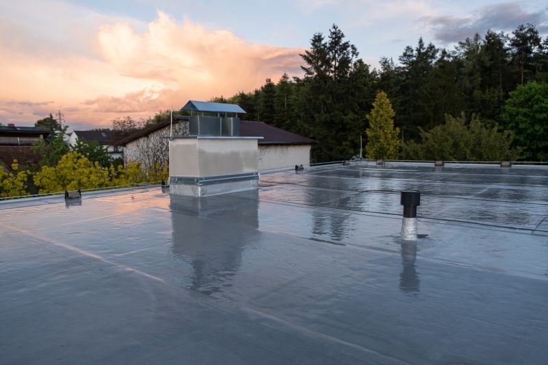 Roof Painting Service