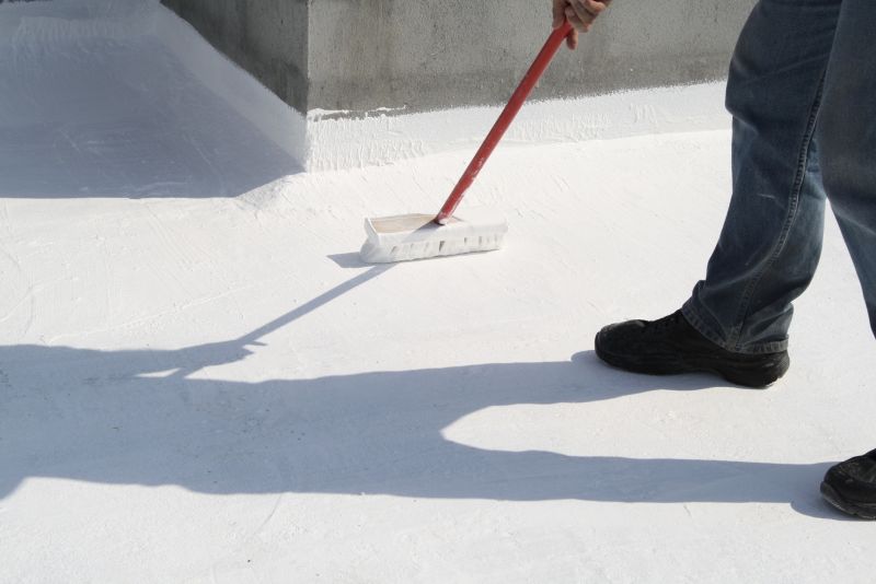 Roof Painting Service