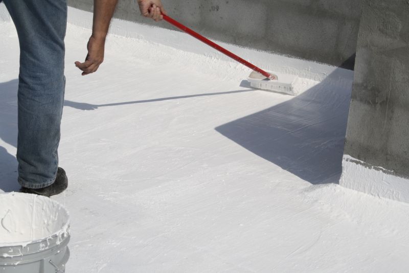 Roof Painting Service